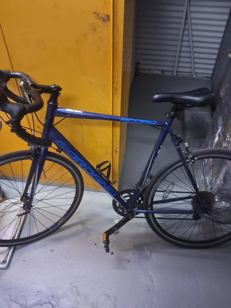 Giordano Acciao Road Bike