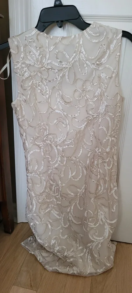 Laura Petites Dress - Size 6 - Needs Dry Cleaning/Has Stains image indicator(2)