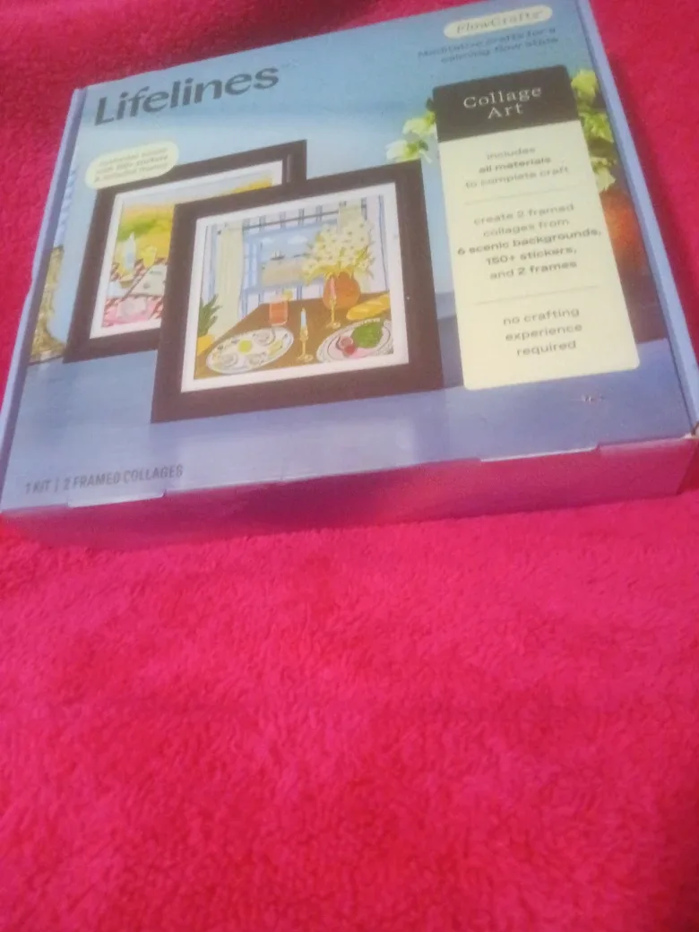 Lifelines Collage Art Kit - 2 Framed Collages