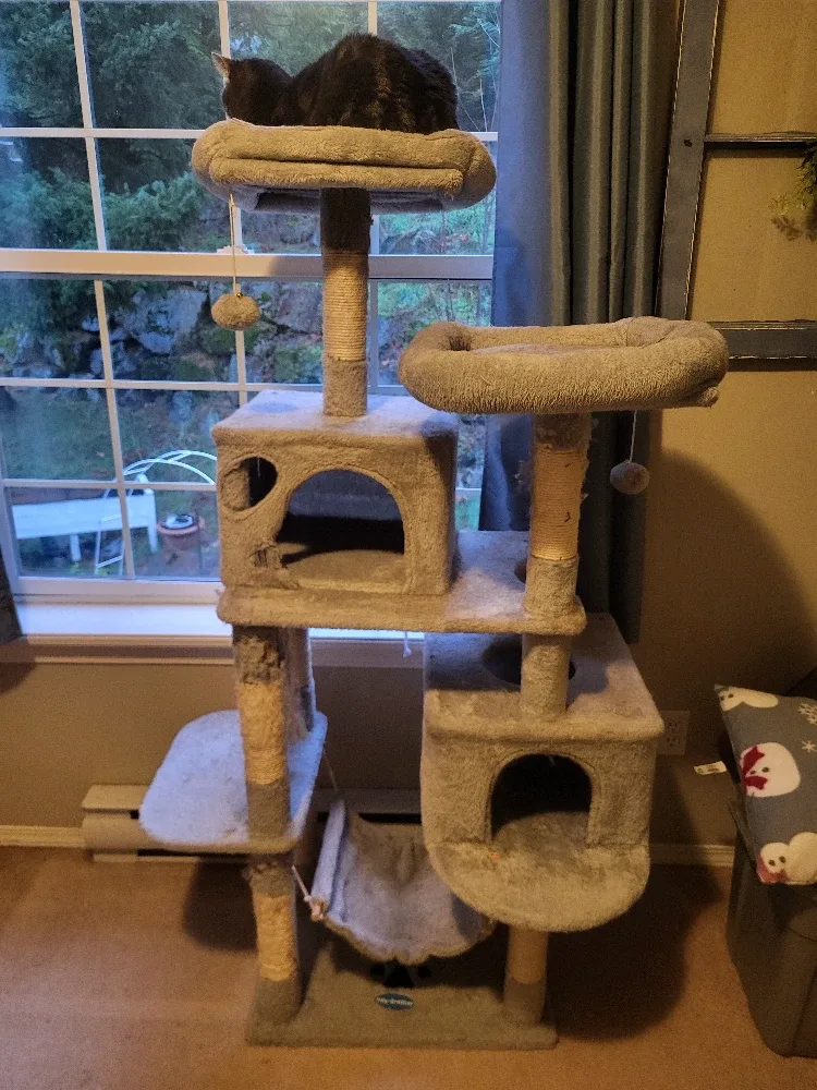 Hay-brother Cat Tree