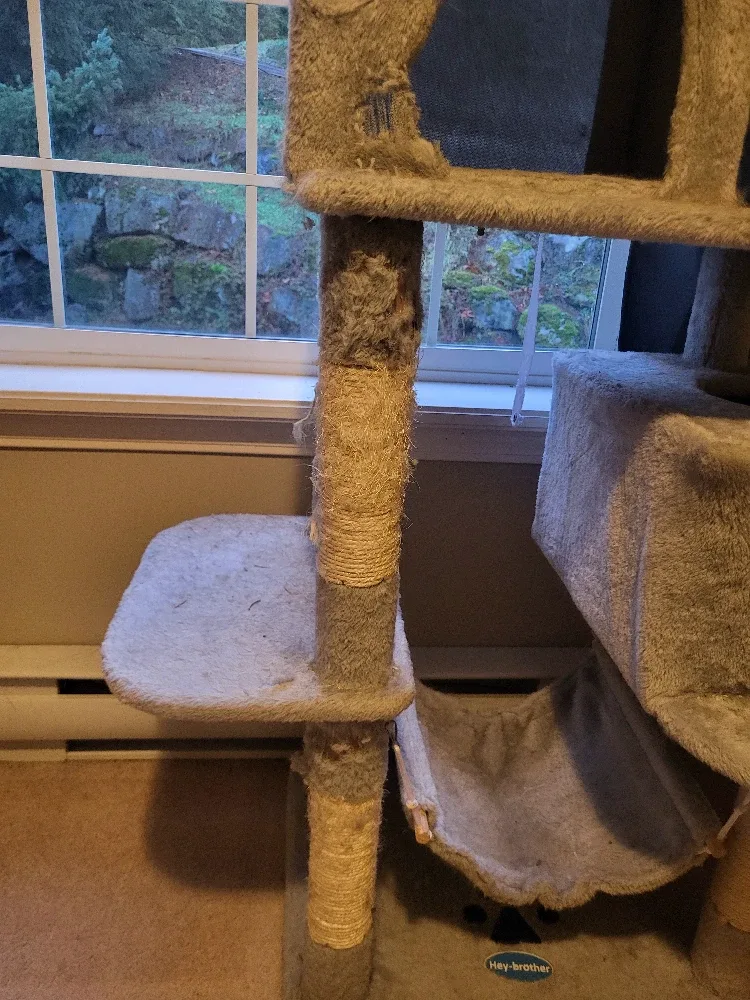 Hay-brother Cat Tree image indicator(2)