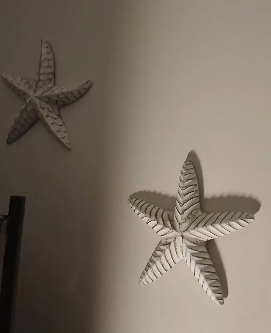 Starfish Wall Decor