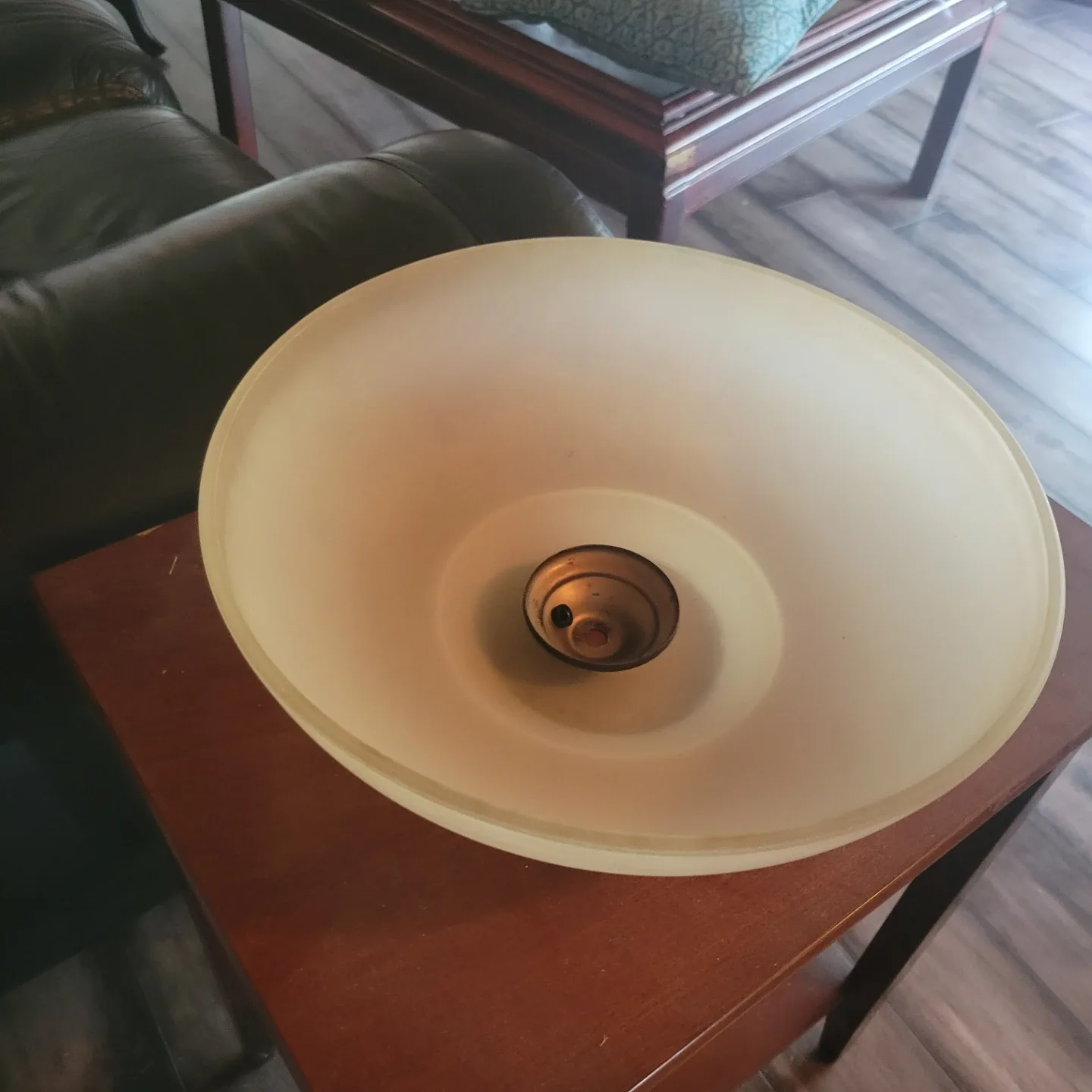 Frosted Glass Light Shade
