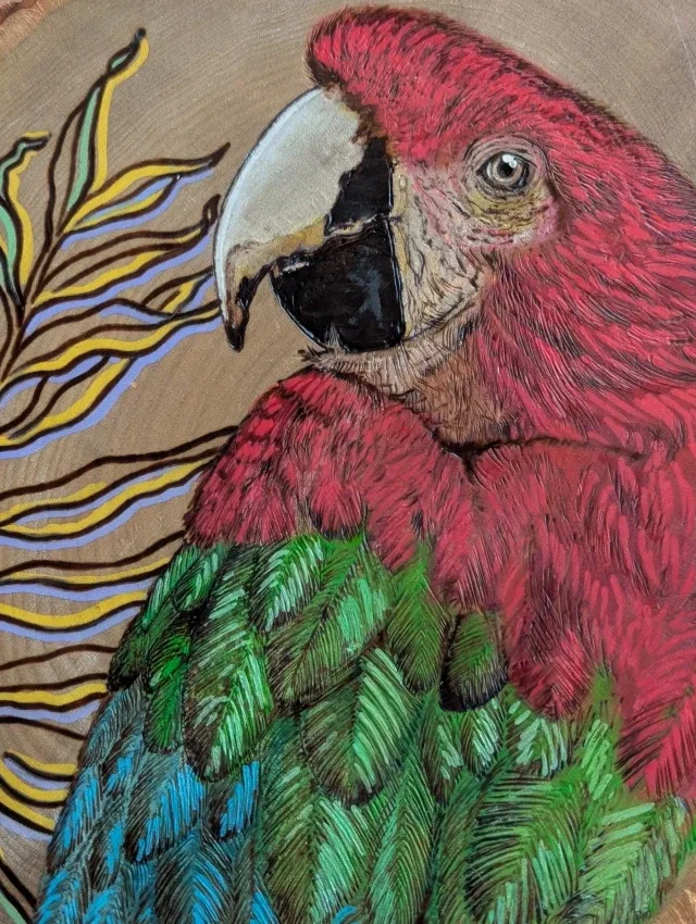 Hand-Burned Macaw on Basswood in Metal Cage image indicator(3)