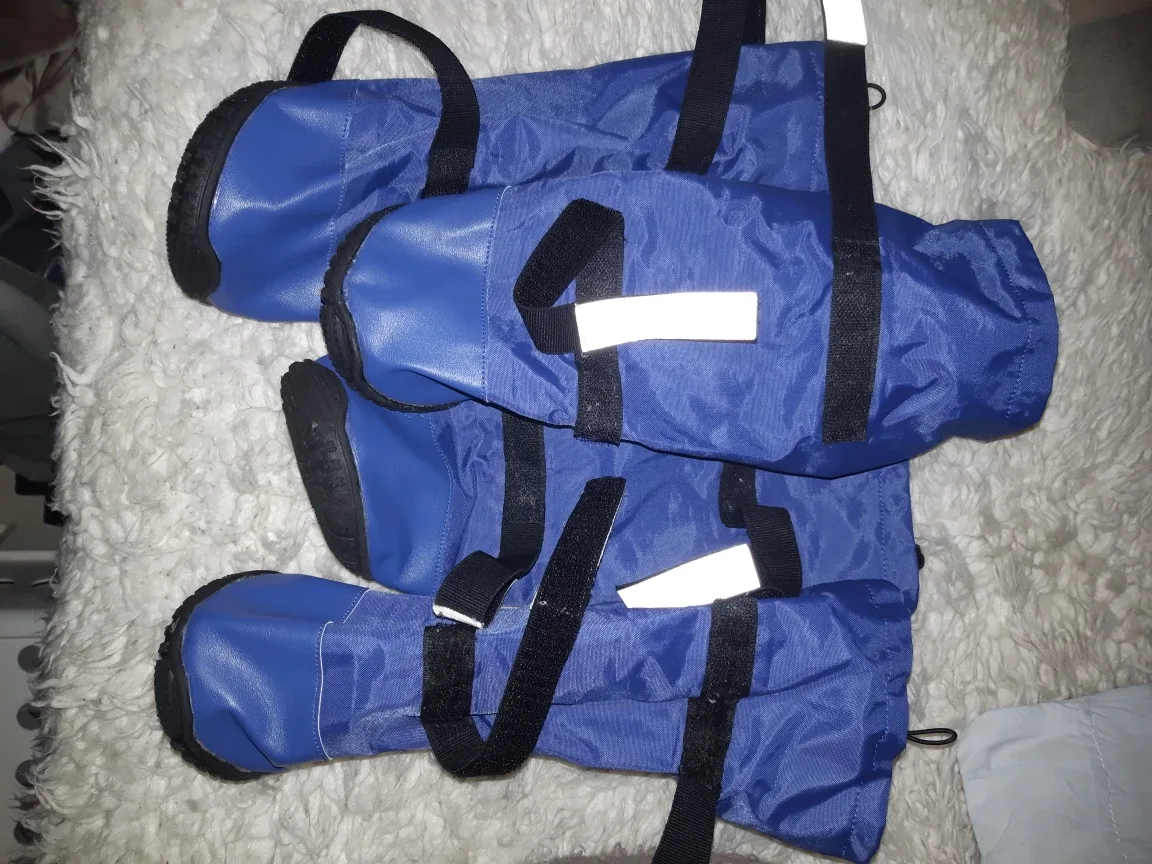 Dog Boots - Size 90 - Blue