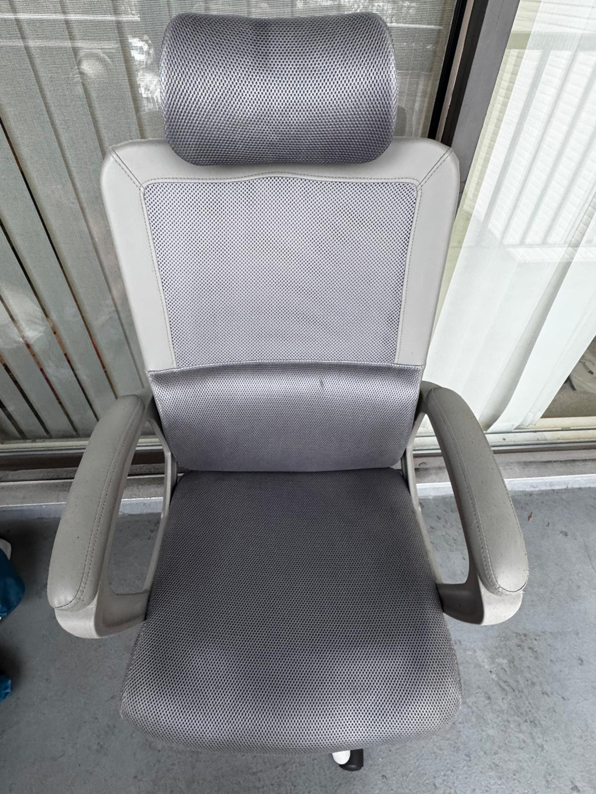 Wayfair Ergonomic Office Chair