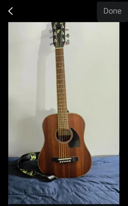 Ibanez Acoustic Guitar w/ Case