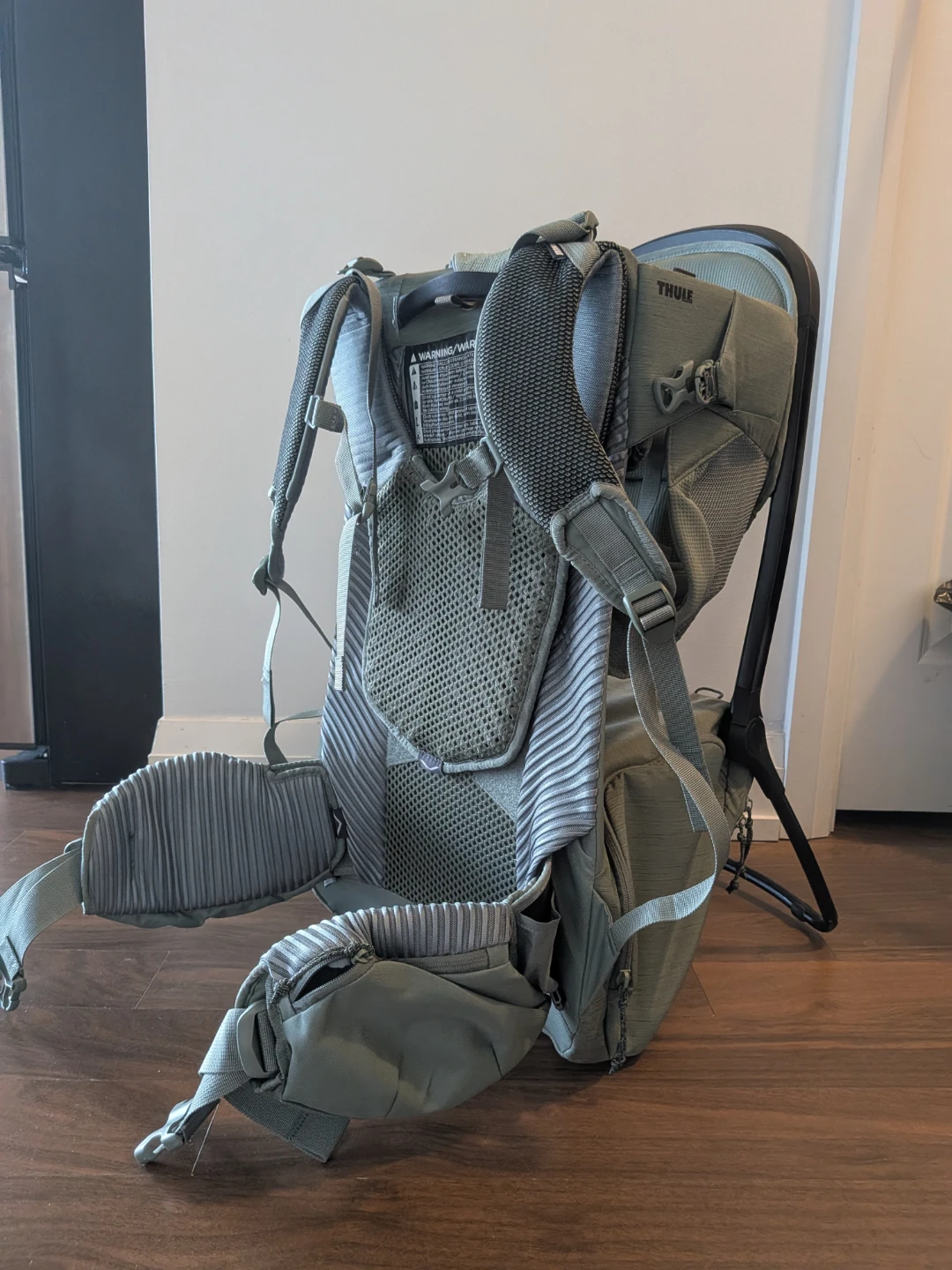Thule Sapling Child Carrier Backpack