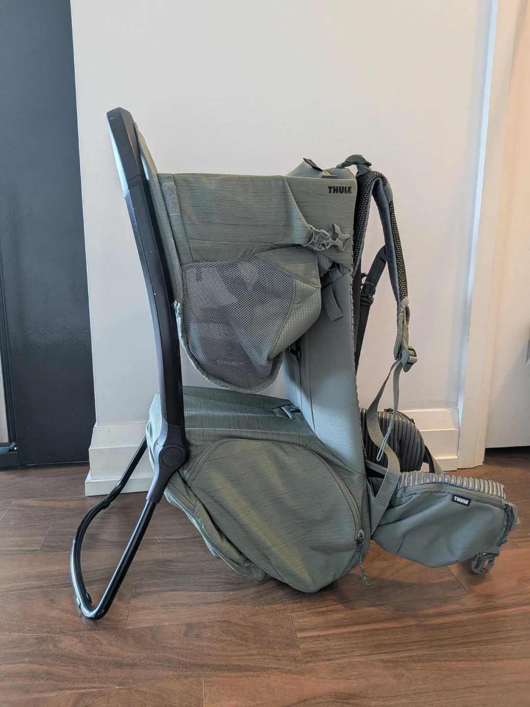 Thule Sapling Child Carrier Backpack - photo 5