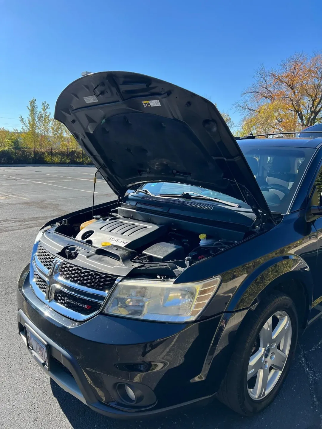 Dodge Journey - Black SUV image indicator(3)