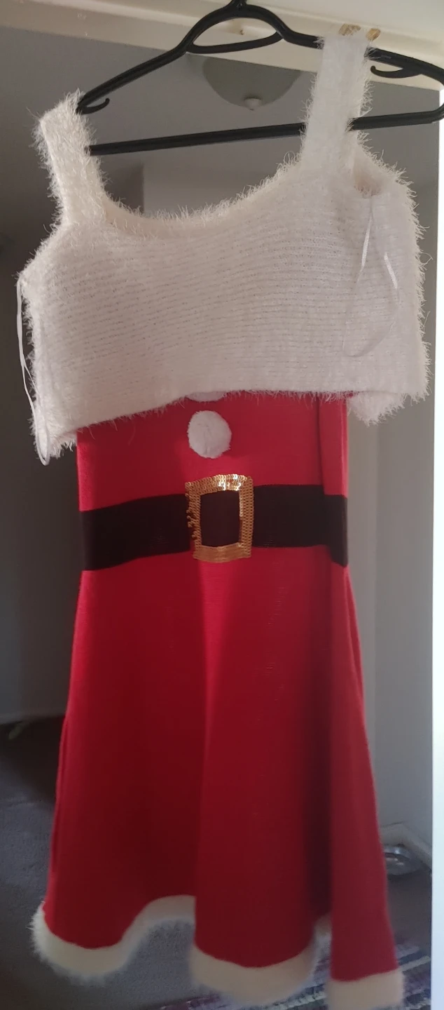 Santa Dress Costume