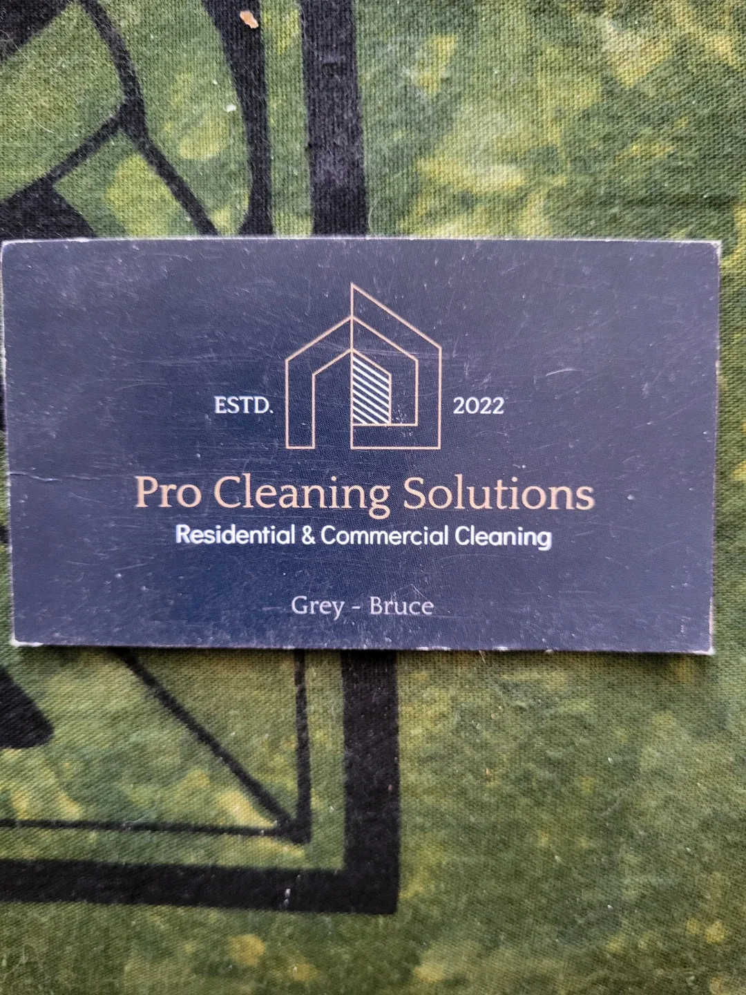 Looking for that deep clean for the holidays