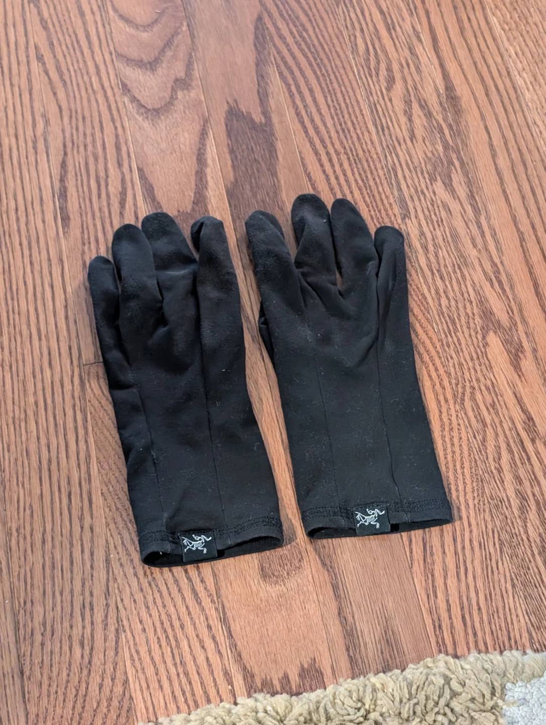 Arc'teryx Rho Gloves (Used)