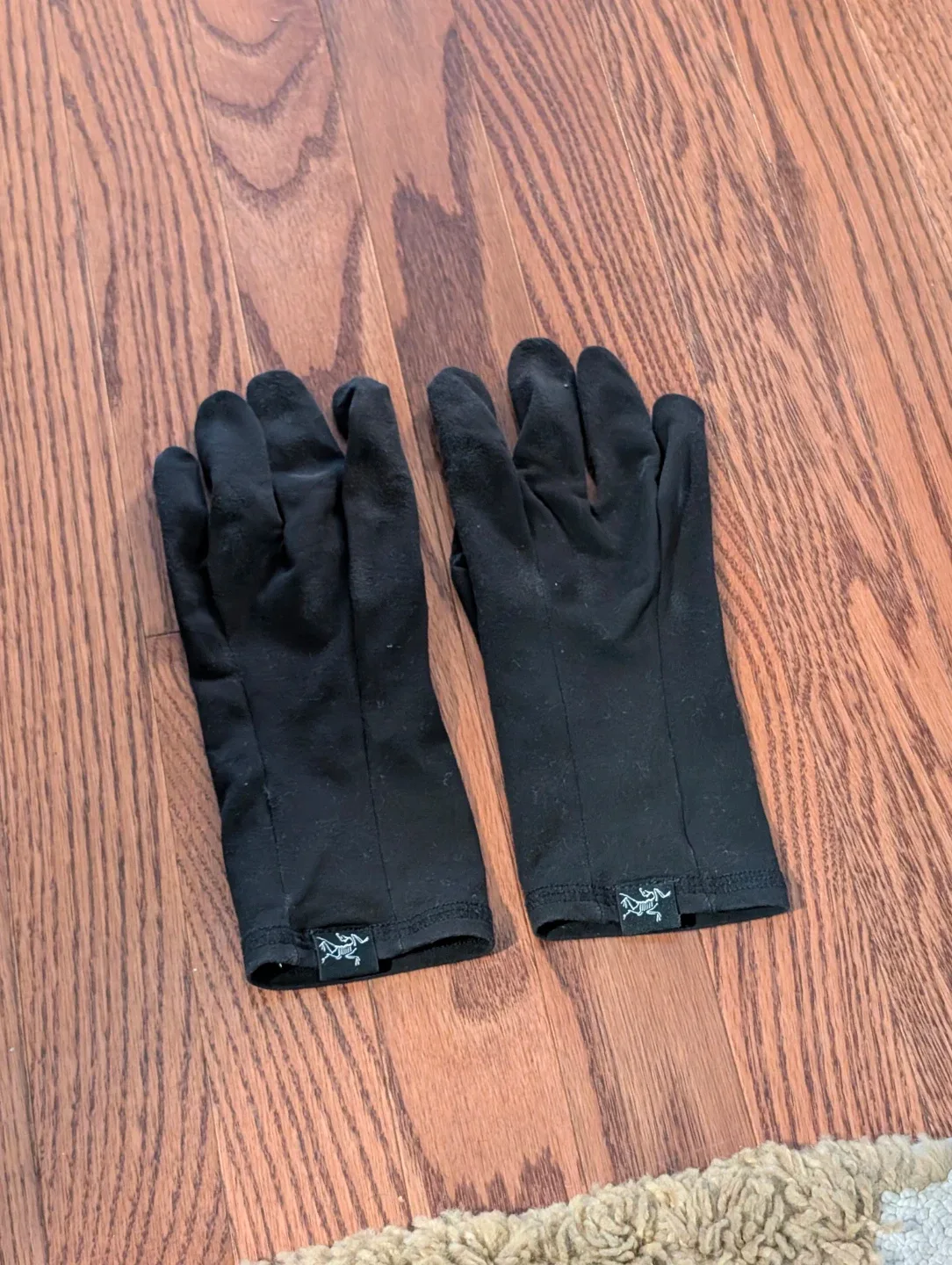 Arc'teryx Rho Gloves (Used) thumbnail