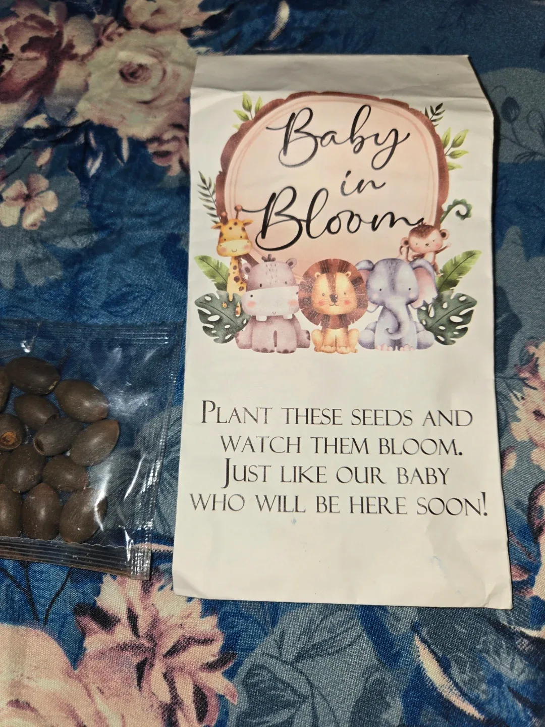 Baby in Bloom, LOTUS SEEDS✨️🪷