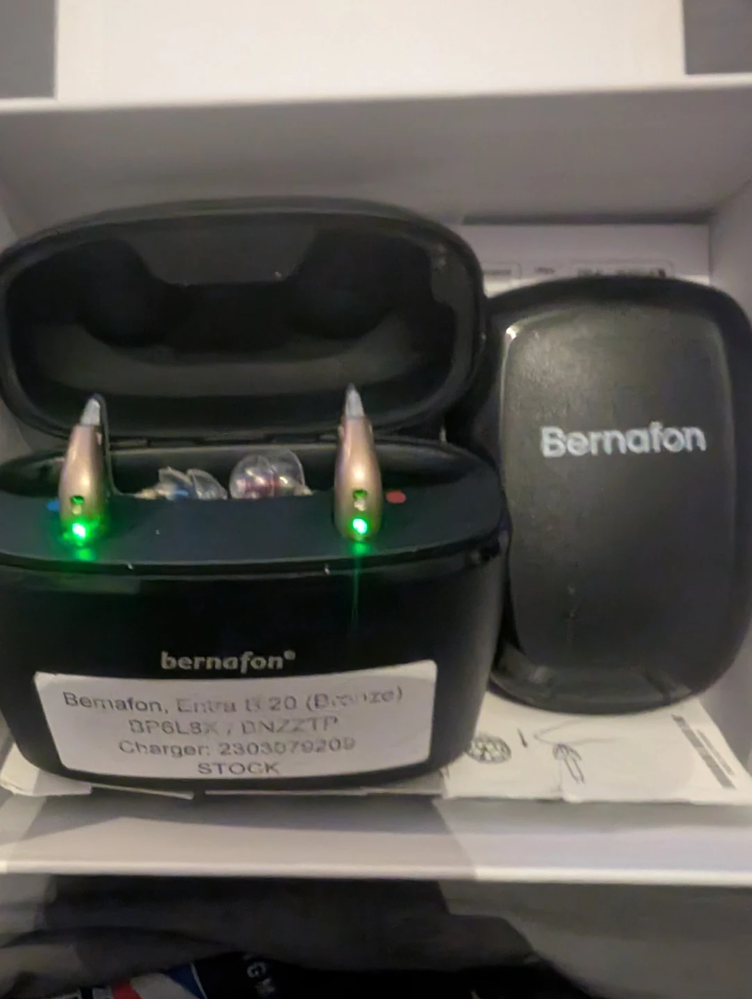 Bernafon Entra B 20 Hearing Aids - photo 3