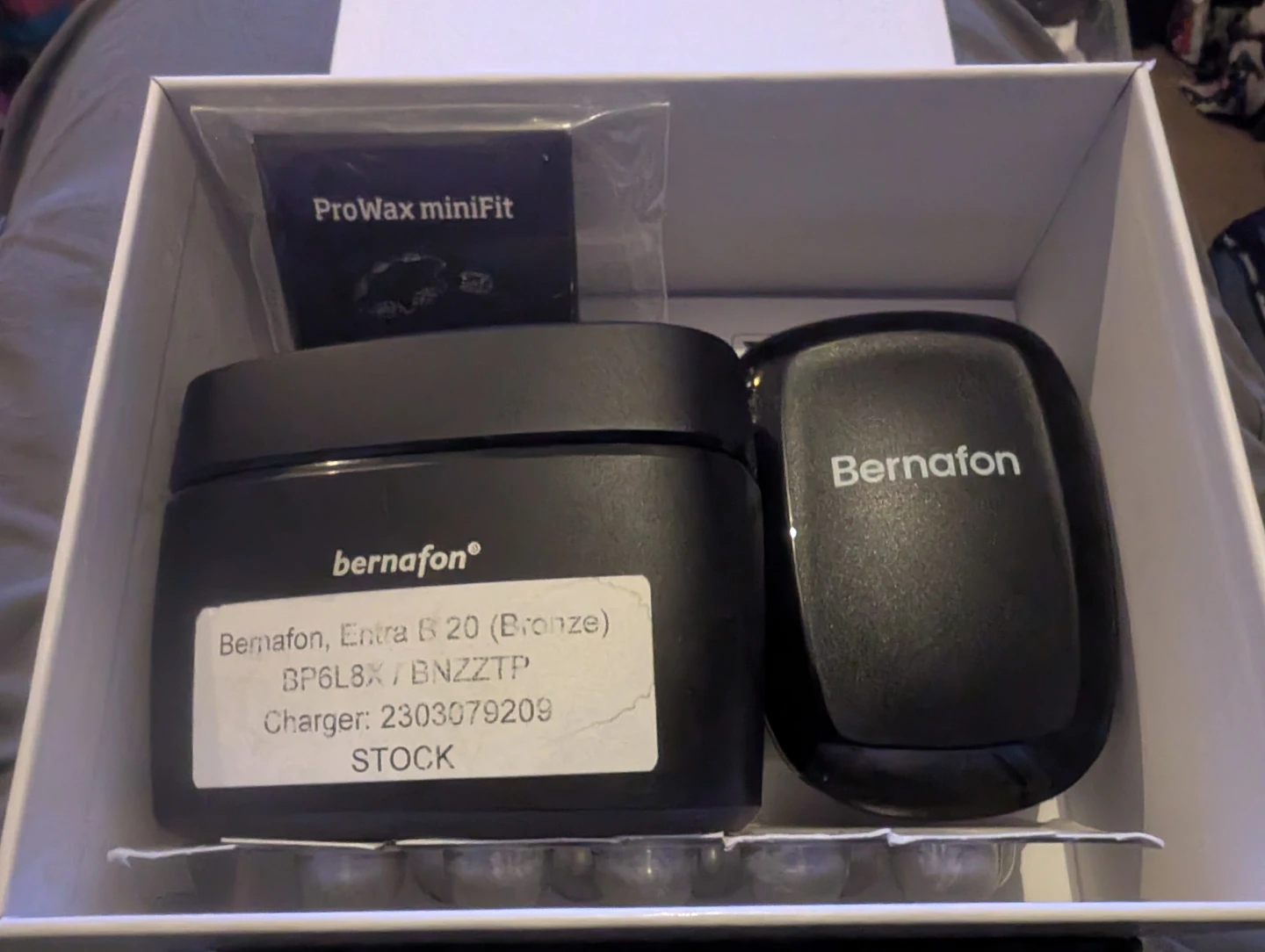 Bernafon Entra B 20 Hearing Aids - photo 4