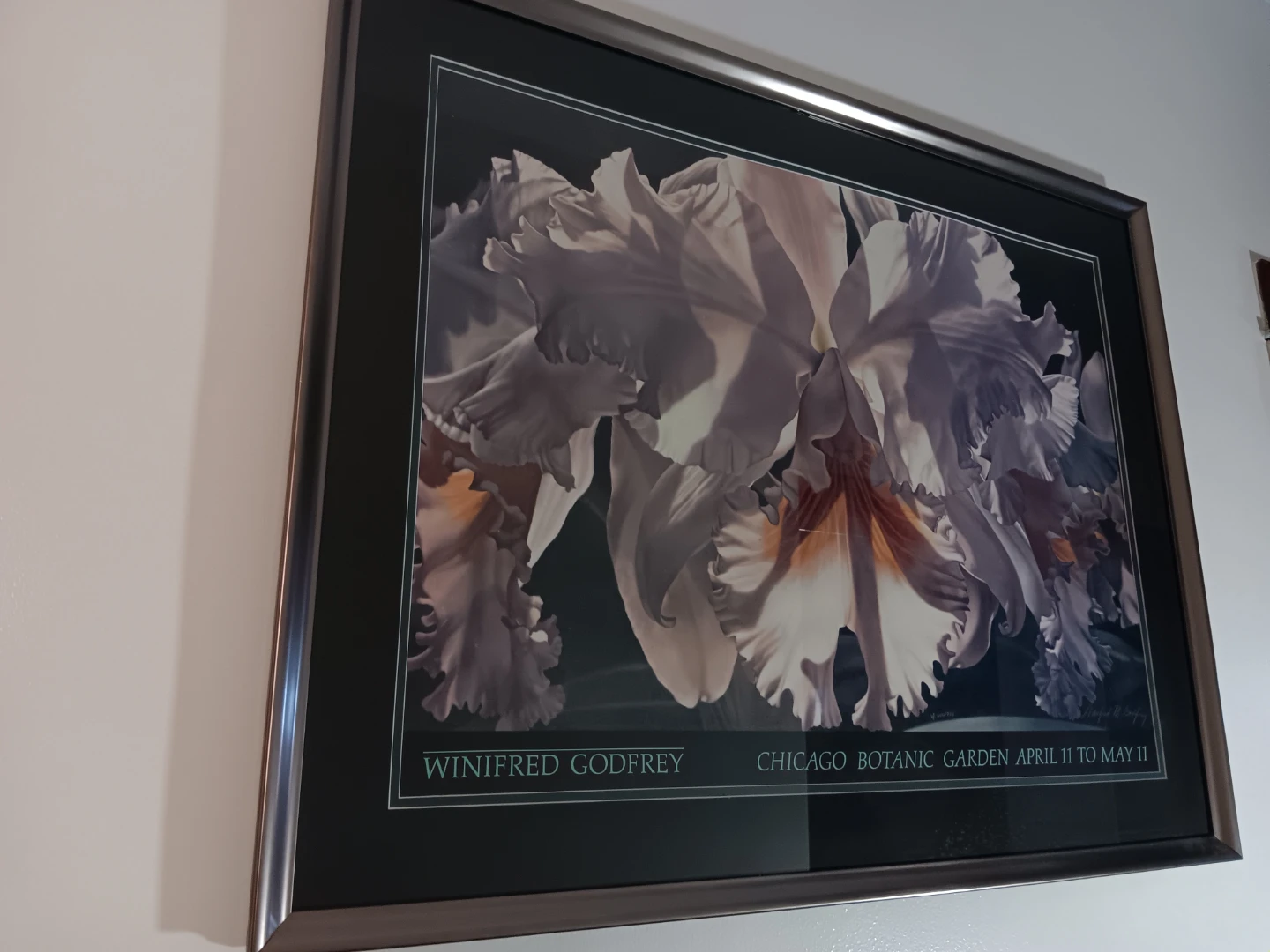 Winifred Godfrey Chicago Botanic Garden Print - photo 4