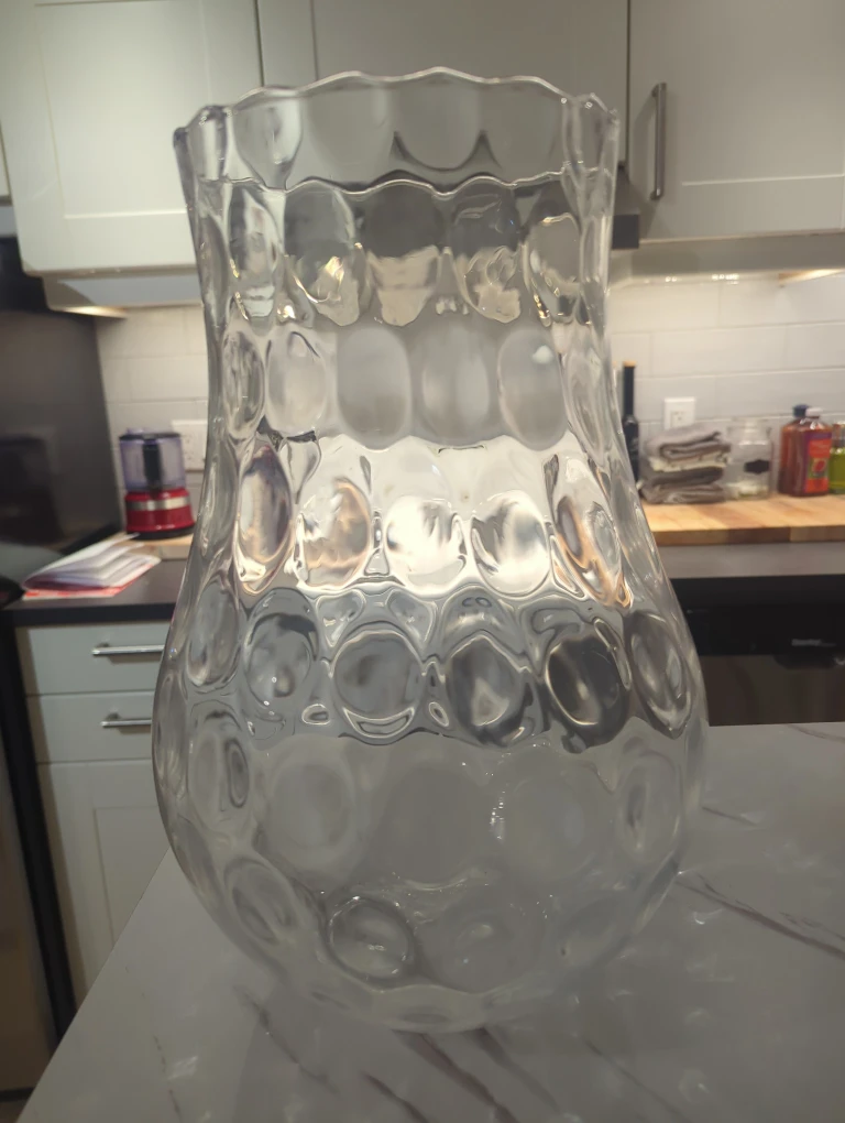 Large clear glass vase (moving soon last chance)