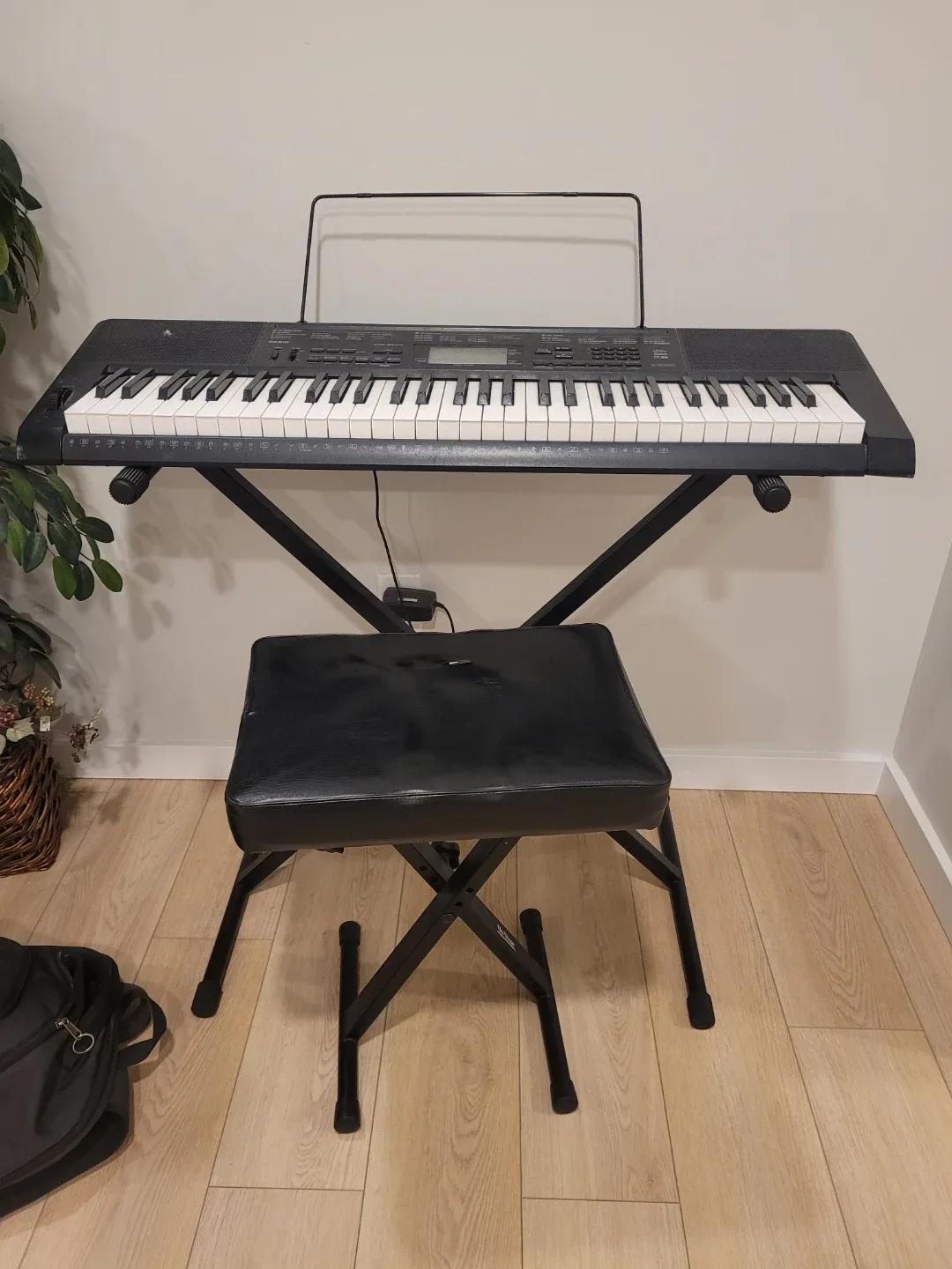 Casio Keyboard with Stand