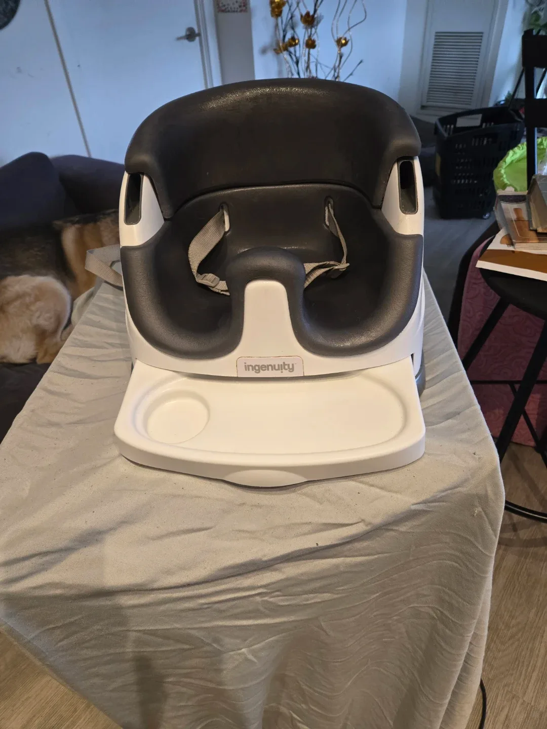 Ingenuity Baby Base 2-in-1 Seat image indicator(3)