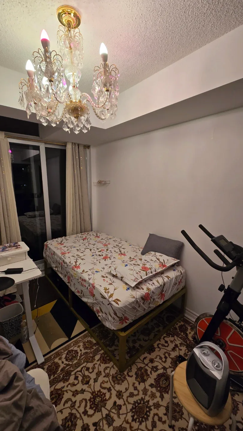 Twin Bed Frame - Metal gold image indicator(2)