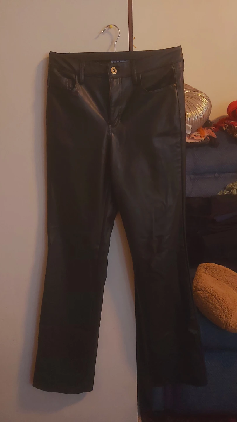 Zara Faux Leather Pants