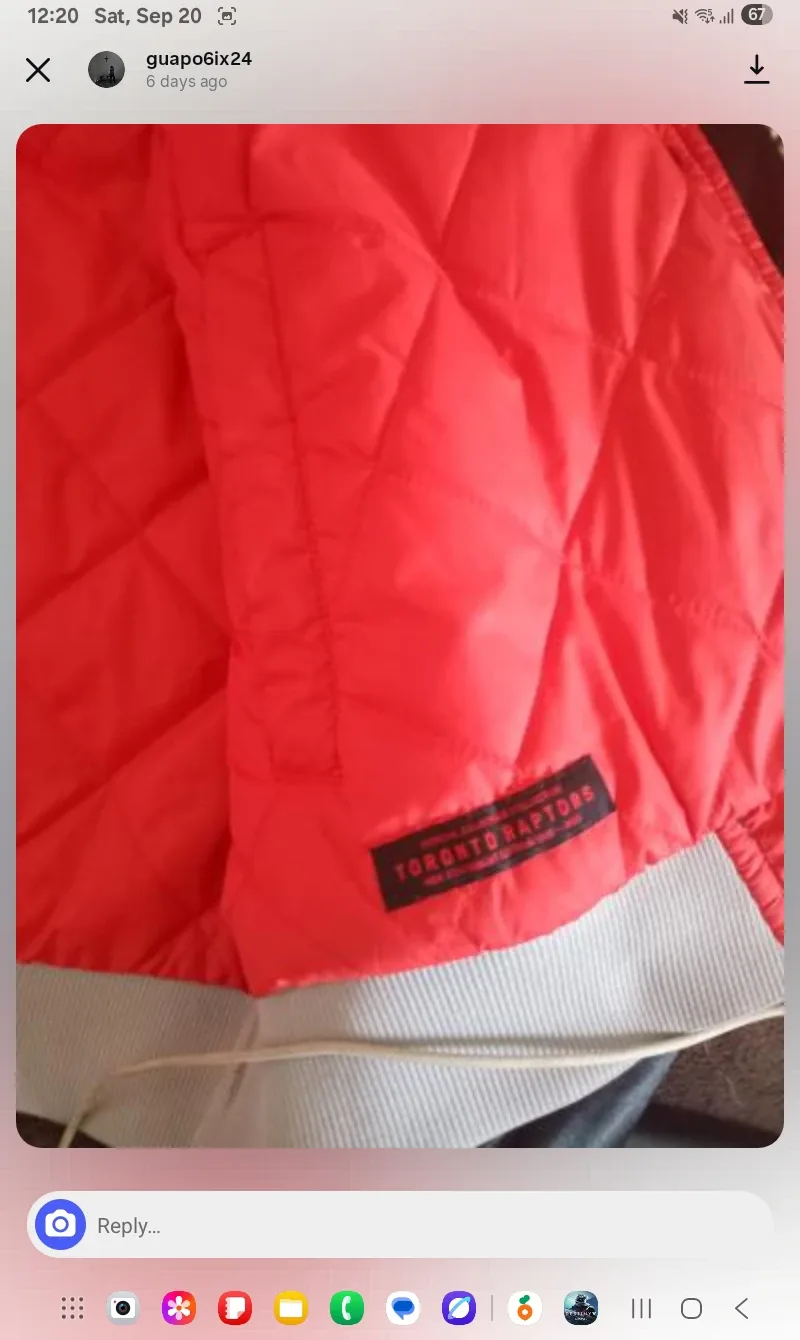 large nike/raptors jacket image indicator(4)