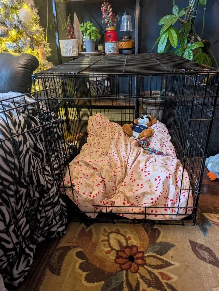 Dog Crate - Black/medium and dog bed