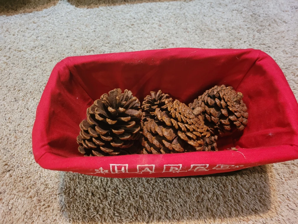 Holiday Basket with Pine Cones - photo 2