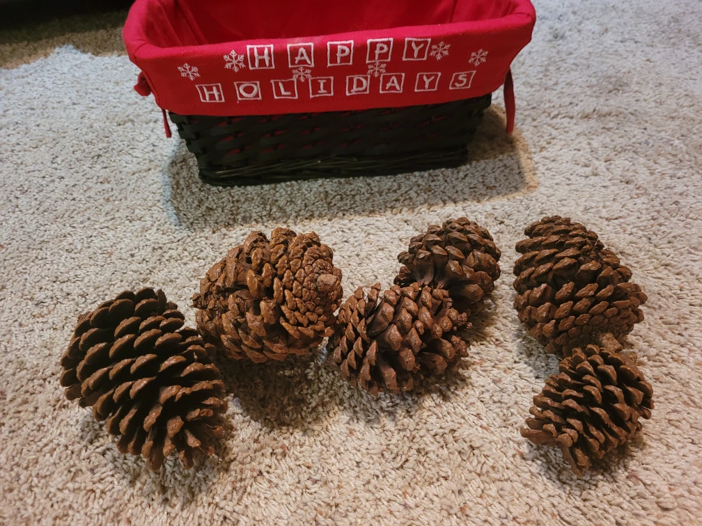 Holiday Basket with Pine Cones - photo 3