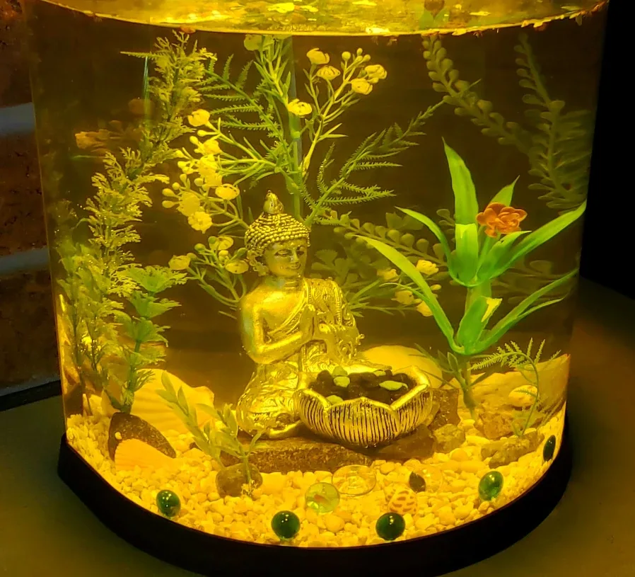 Corner Aquarium, great for smaller spaces image indicator(2)