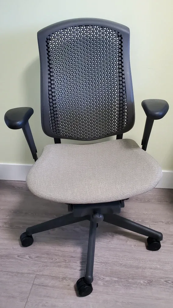 Herman Miller Celle Ergonomic Office Chair