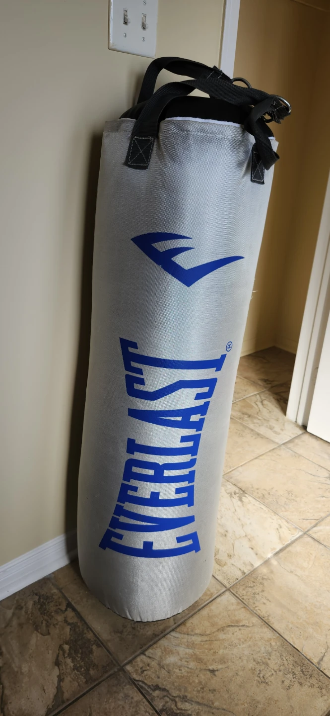 Everlast Punching Bag with Red Boxing Gloves