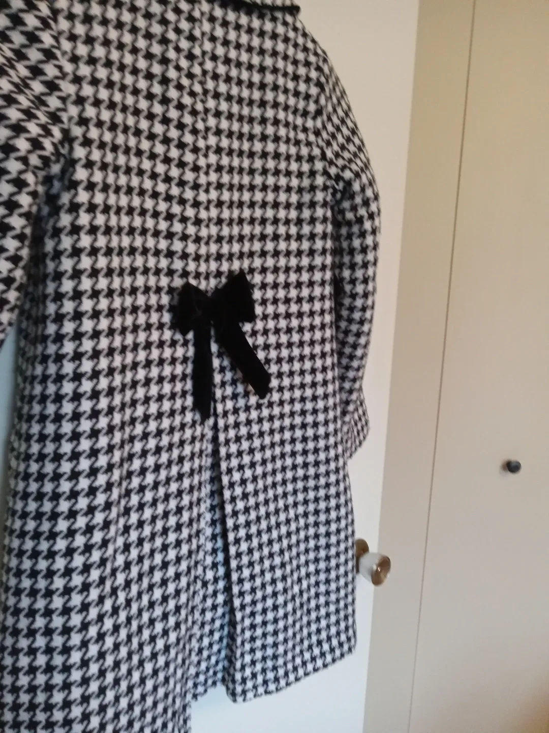 Girls Dress Coat (Small) image indicator(4)
