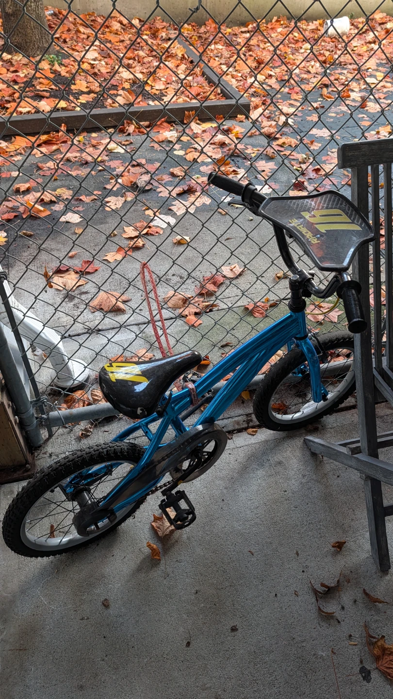 Blue ProSport Bicycle