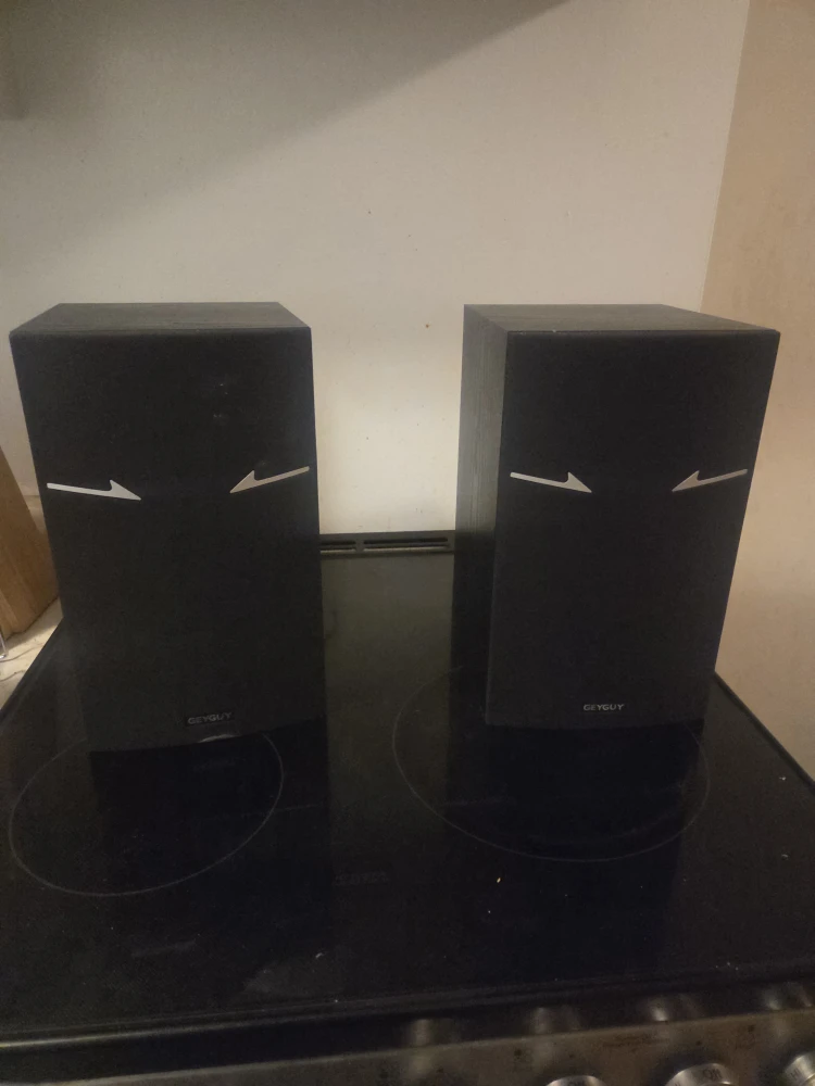 GEYGUY Speakers - Pair