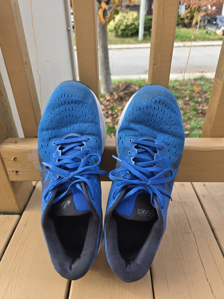 Asics Gel-Cumulus 22 Blue Running Shoes