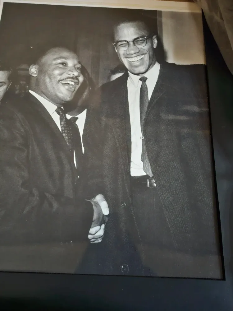 Malcolm X and Martin Luther King