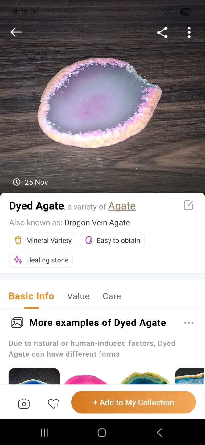 3 Inches by 2 1/2 Inches Agate Slice - Pink & White image indicator(3)