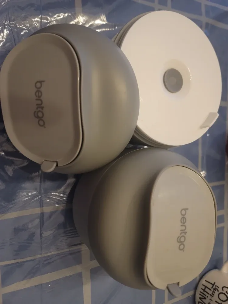 Bentgo Container for Hot//Cold food- Gray