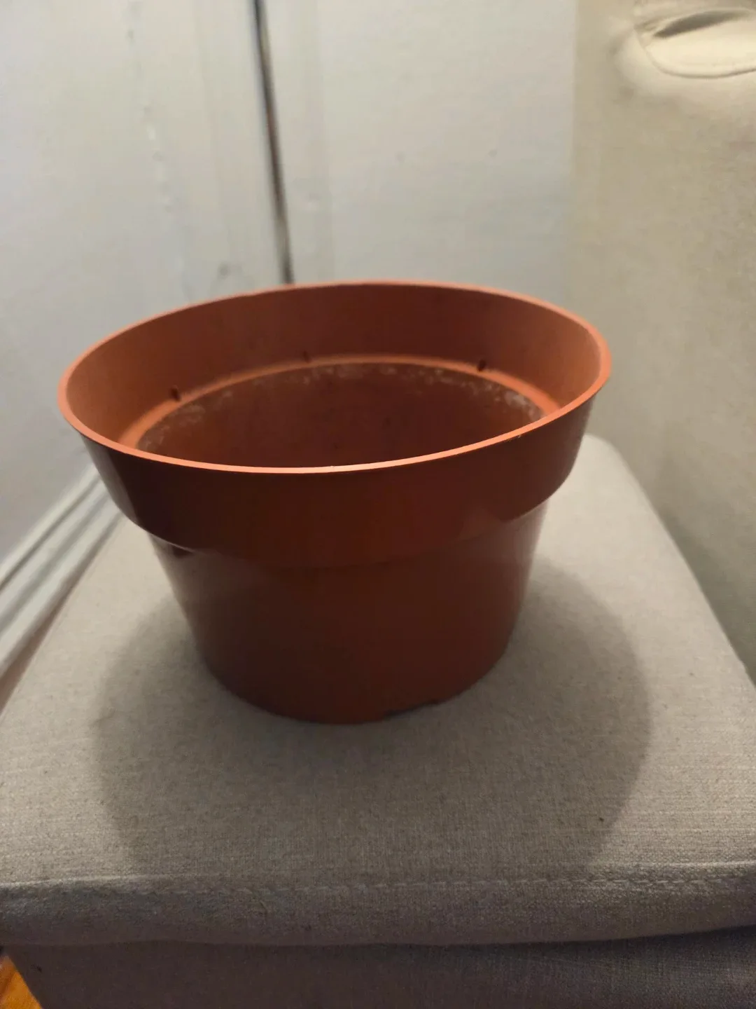 Terracotta (faux) Plant Pot - 8 inch diameter 🥕