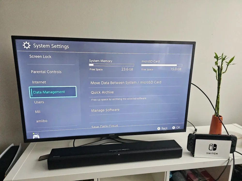 Nintendo Switch Bundle image indicator(7)