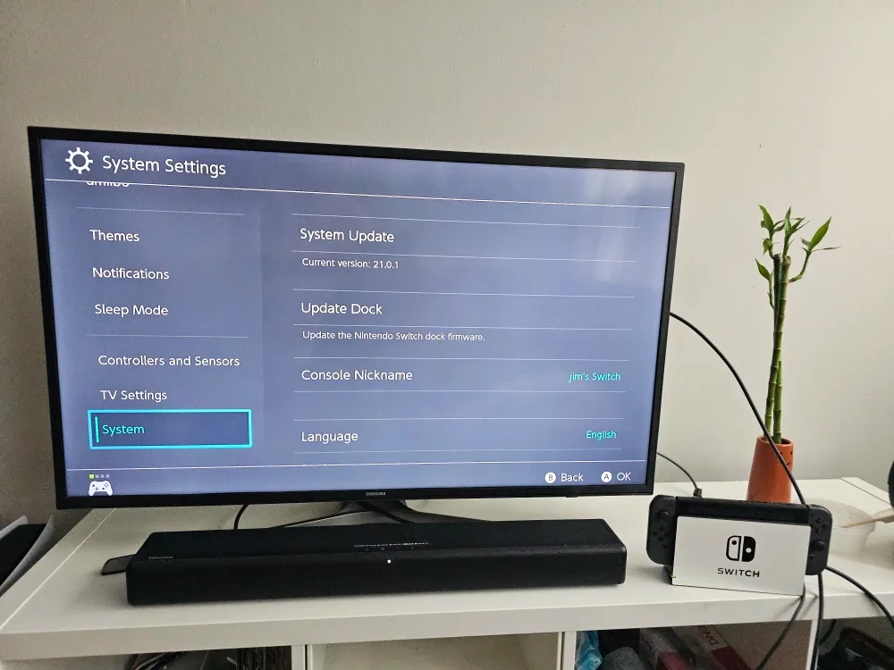 Nintendo Switch Bundle image indicator(8)