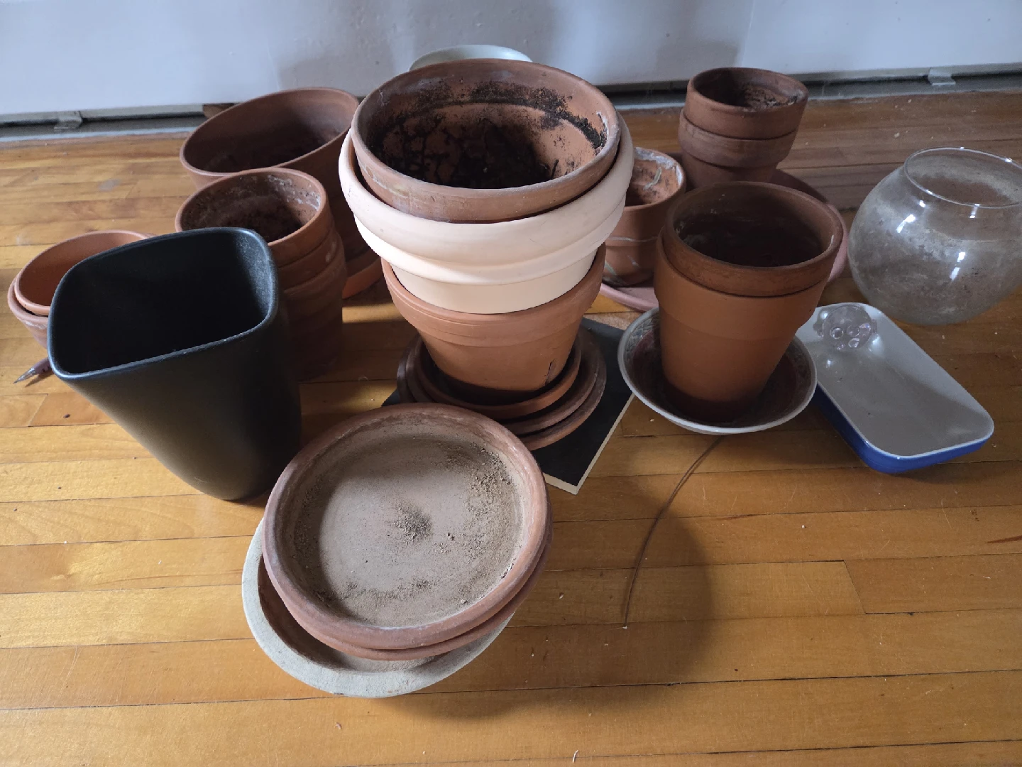 Assorted Used Plant Pots