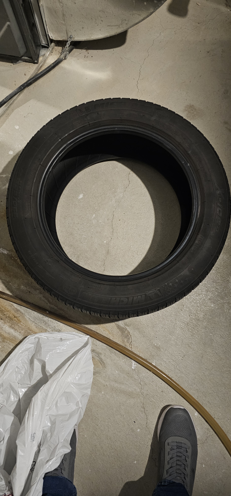 Michelin Winter Tire 225/55R17