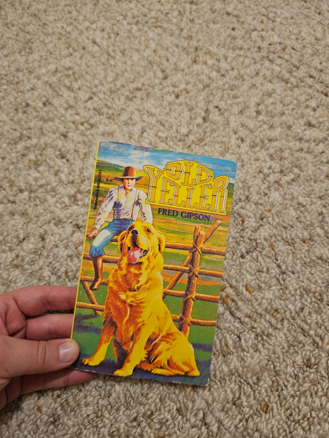 more all kind of books image indicator(3)