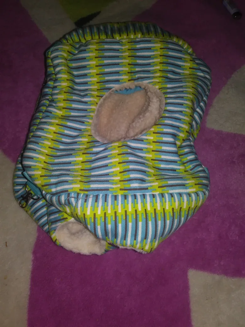 Pet hide out with Blue & Green Design