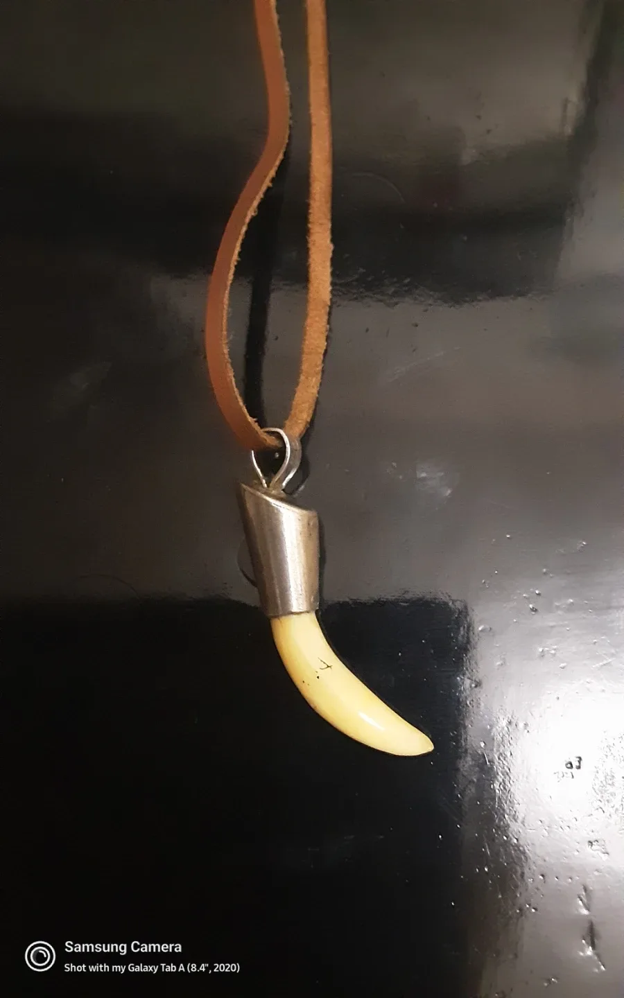 Real   WolfTooth Pendant Necklace , Silver  holder image indicator(3)