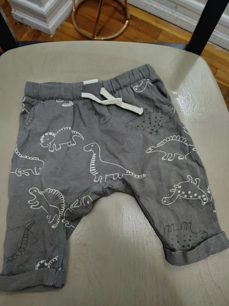 🚨🚨 FREE 🚨🚨 Gray Dinosaur Print Baby Pants